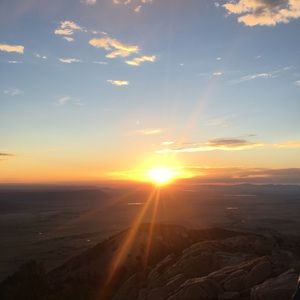 Meet your Posher, Wilson